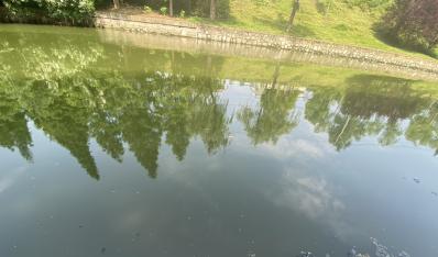 临汾黑臭河道