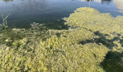天津蓟县黑臭河道治理项目